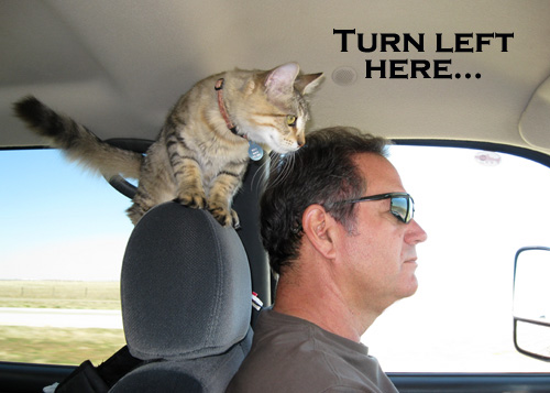 Who needs GPS?