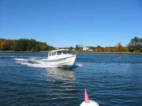 Widget  fall day

 Great Bay, NH