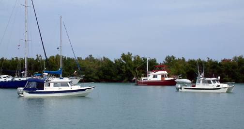 Wild Blue and Discovery at No Name Harbor