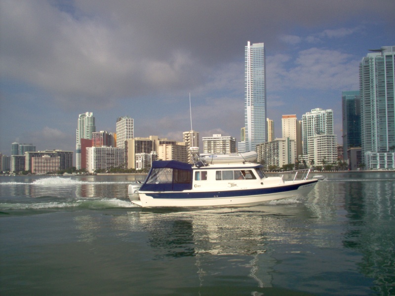 Wild Blue in Miami 2