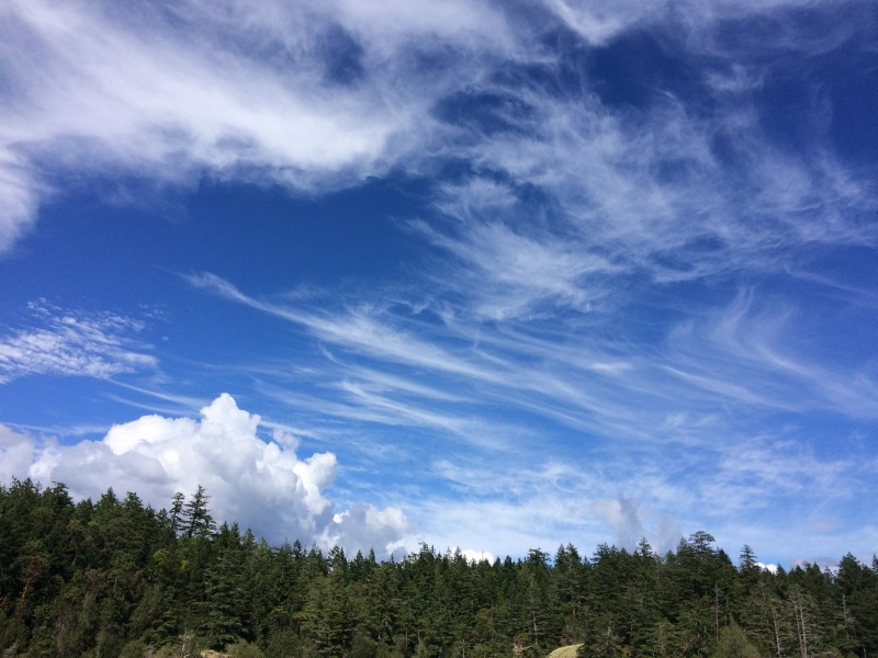 Wind coming!