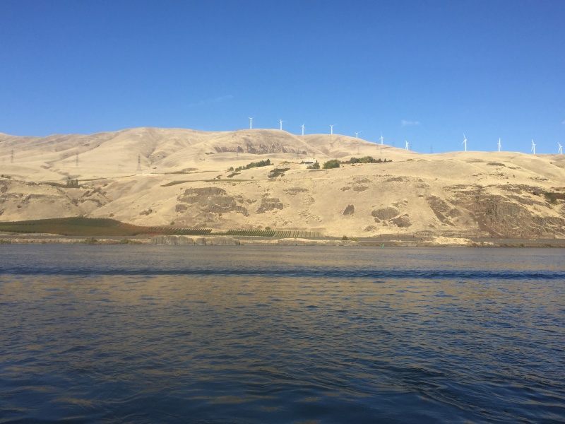 Wind vanes on top the hill.  Not sure what type of plantation that is along the shore.