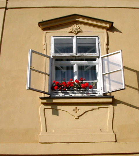 Window1