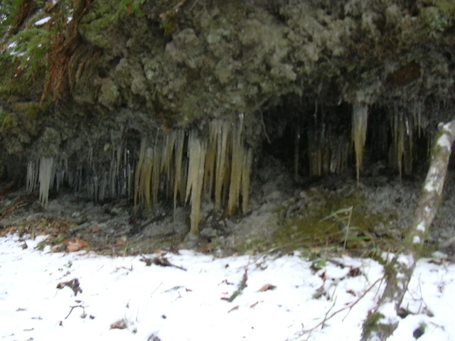 Winter at Freshwater Bay 038