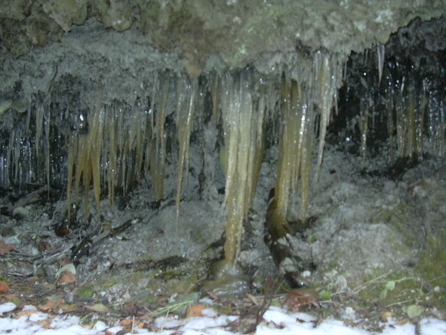 Winter at Freshwater Bay 039