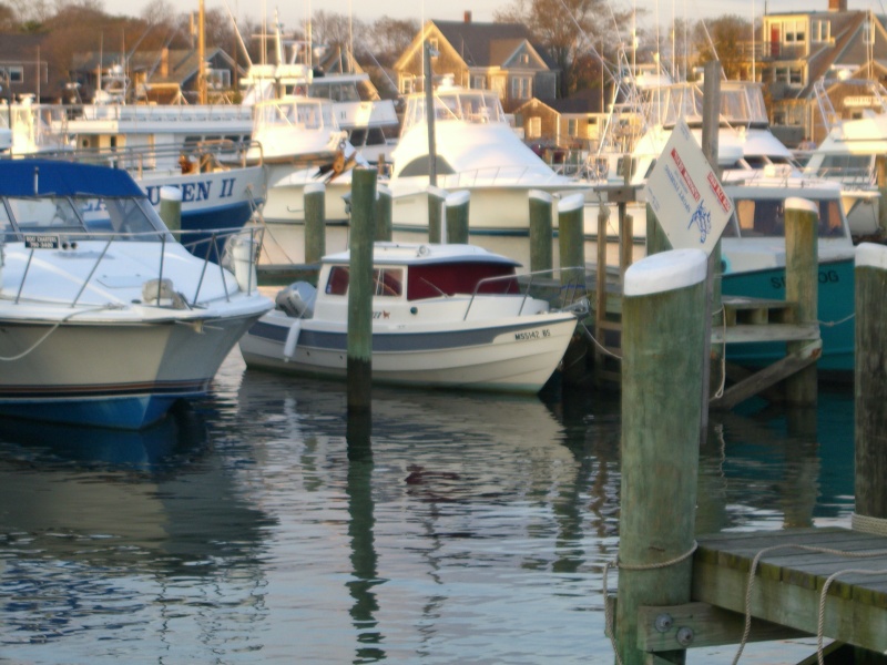 Winter berth for November and December