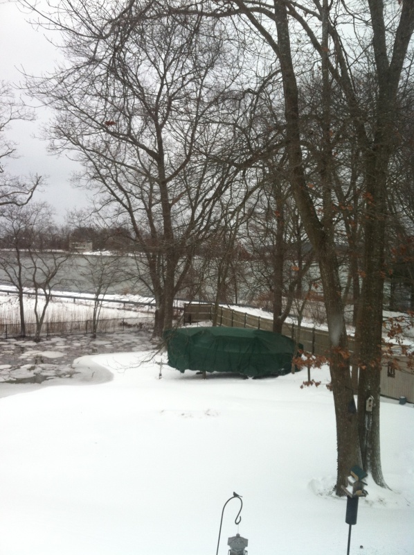 Winter in Marshvegas.