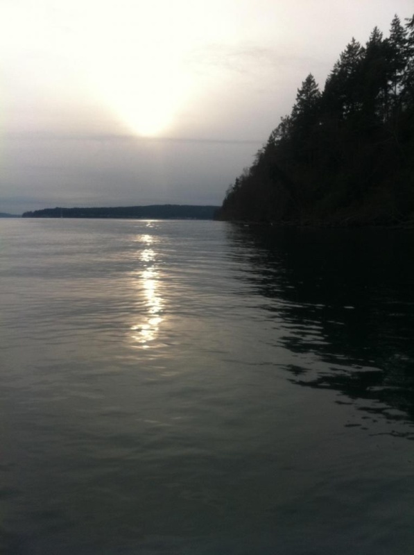 Winter Sun