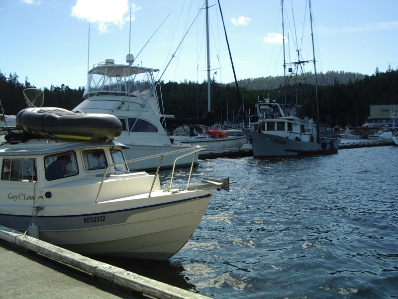 with dinghy