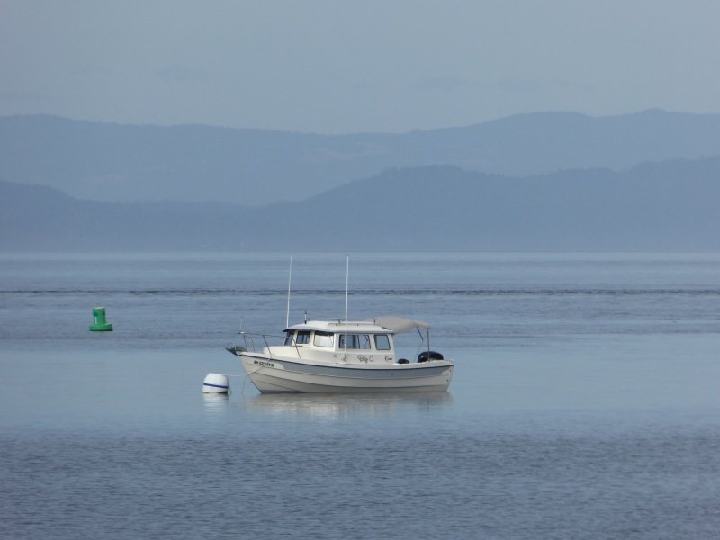With favorable tides and flat calm water, I made it to Shallow Bay in about an hour, earlier than expected. Fortunately by 8:30 AM buoys were already beginning to free up, so I grabbed this first one, although not ideal at the entrance to the bay.