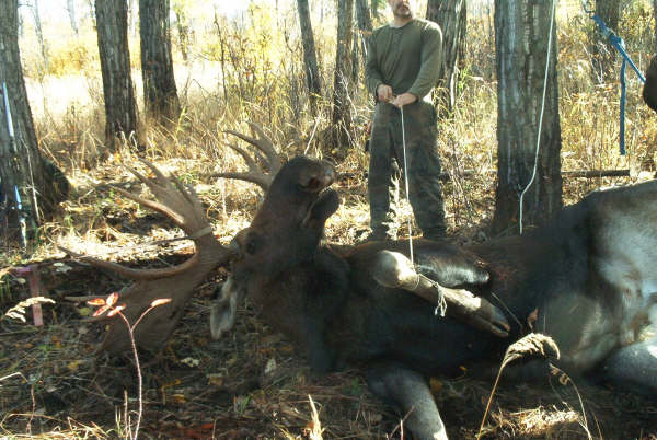 Wooh Moose.JPG