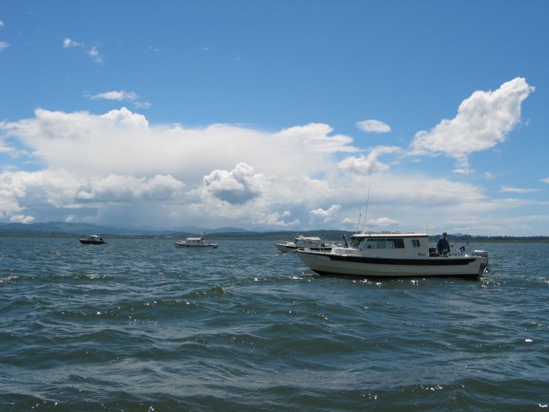 (Work Release) Sturgeon Trip