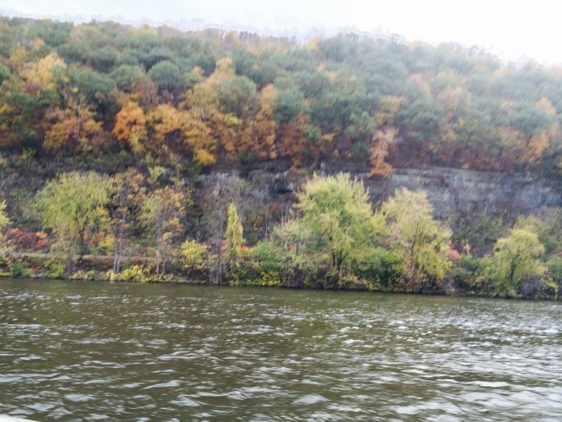 Wyalusing