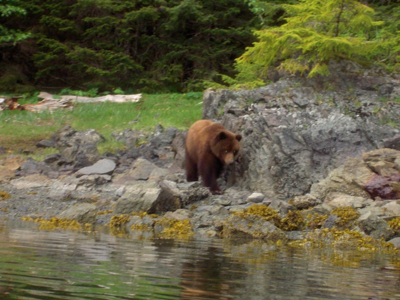 Yoogie on his way to visit the kayakers camp
