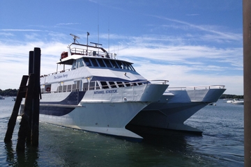 You should see my OTHER cat Napoleon!  Ha ha!  90', 149 passenger, 2820 HP, 30 knots