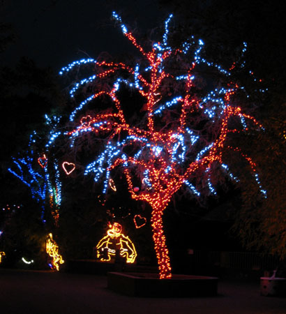 Zoo Lights